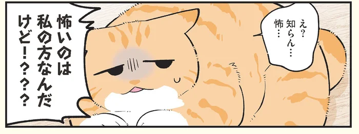 猫になった父が娘の部屋の前で熟睡。どうやら猫の習性に関係があるらしい？