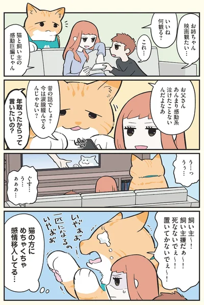 猫と飼い主の感動巨編じゃん