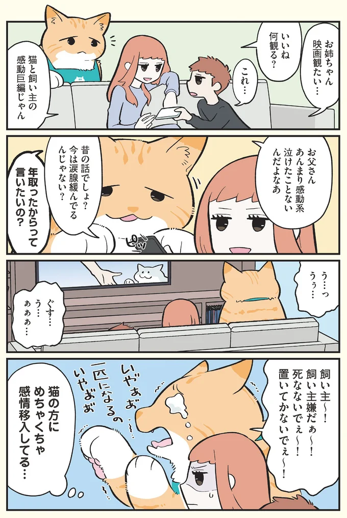 猫と飼い主の感動巨編じゃん