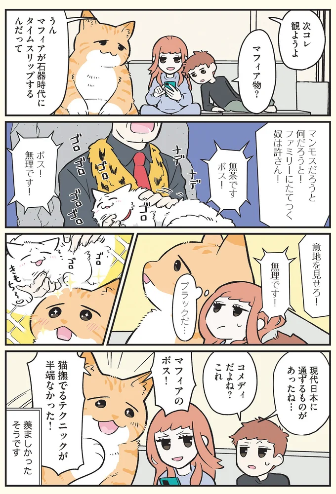  次コレ観ようよ