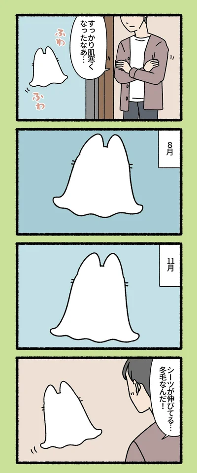 シーツが伸びてる...冬毛なんだ！