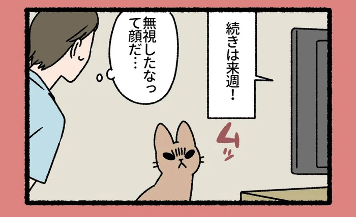 テレビに向かってムッ！ なぞなぞ好きなねこもんすたー「すふぃんくす」が怒っていたワケ