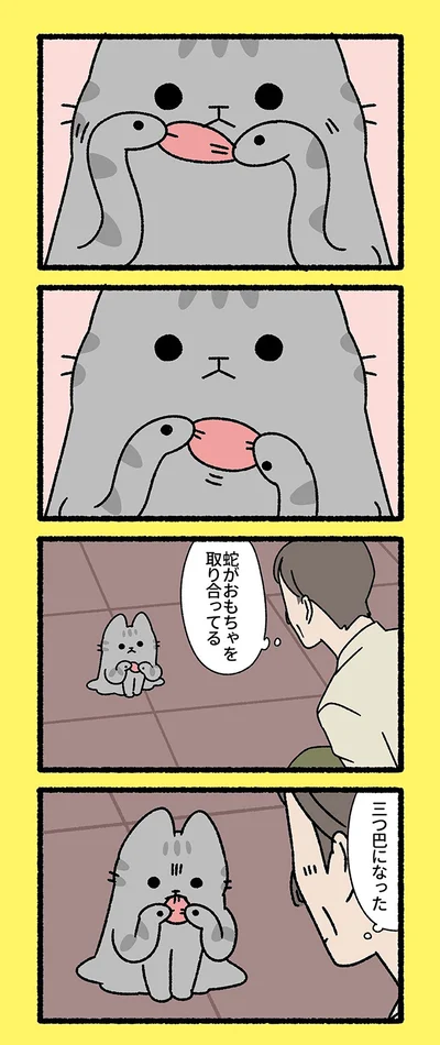蛇がおもちゃを取り合ってる