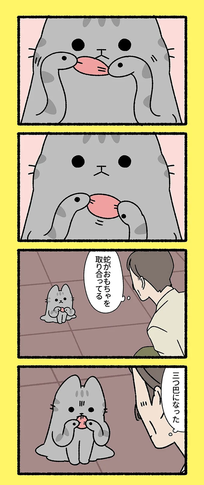 蛇がおもちゃを取り合ってる
