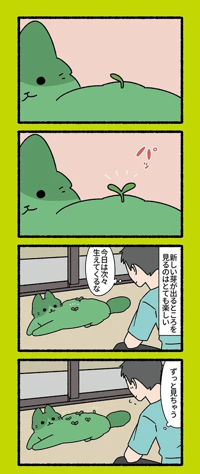 今日は次々生えてくるな