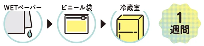 ほうれん草の保存法