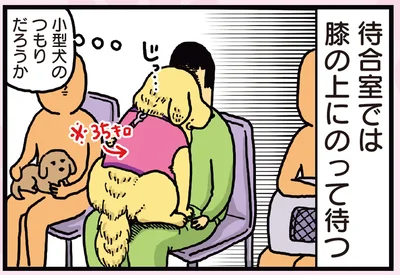小型犬のつもりだろうか