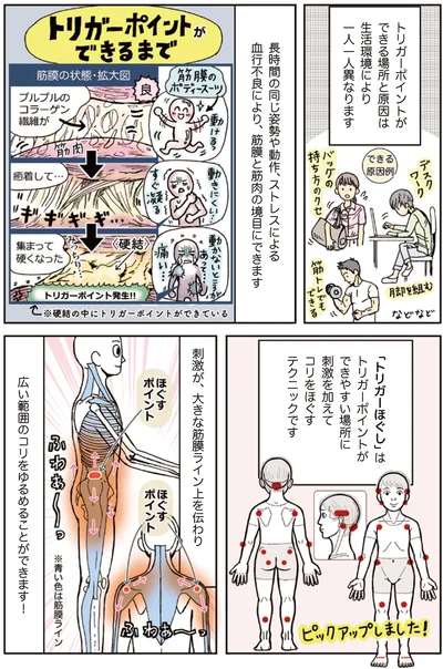 トリガーポイントができるまで