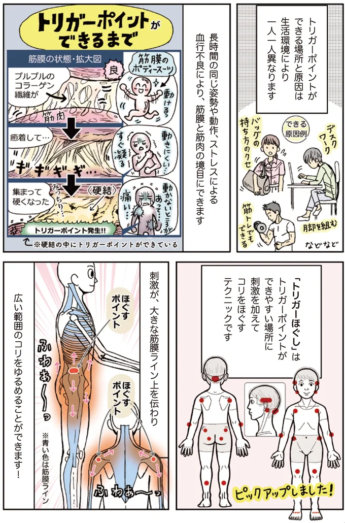 筋膜と筋肉の境目にできます