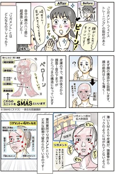「リガメント」とはどんなものでしょうか？