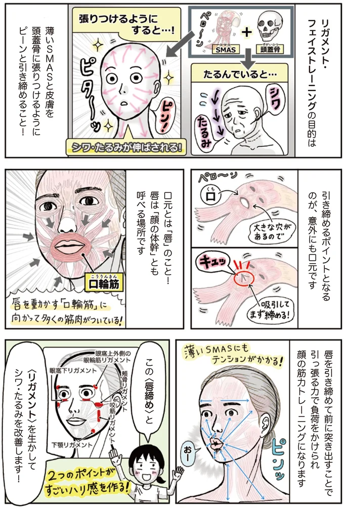 リガメント・フェイストレーニングの目的