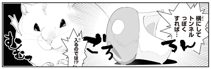 きのこ型ハウスを使ってほしい！ハムスターの興味を引こうとするも使い方が!?
