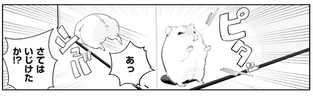 ハムちゃんが「外に出せ」と猛アピール。構われなくて、いじけたか？と思ったら