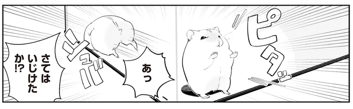 ハムちゃんが「外に出せ」と猛アピール。構われなくて、いじけたか？と思ったら