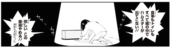 食事もトイレもすべて箱の中でハムスターが出てこない!!