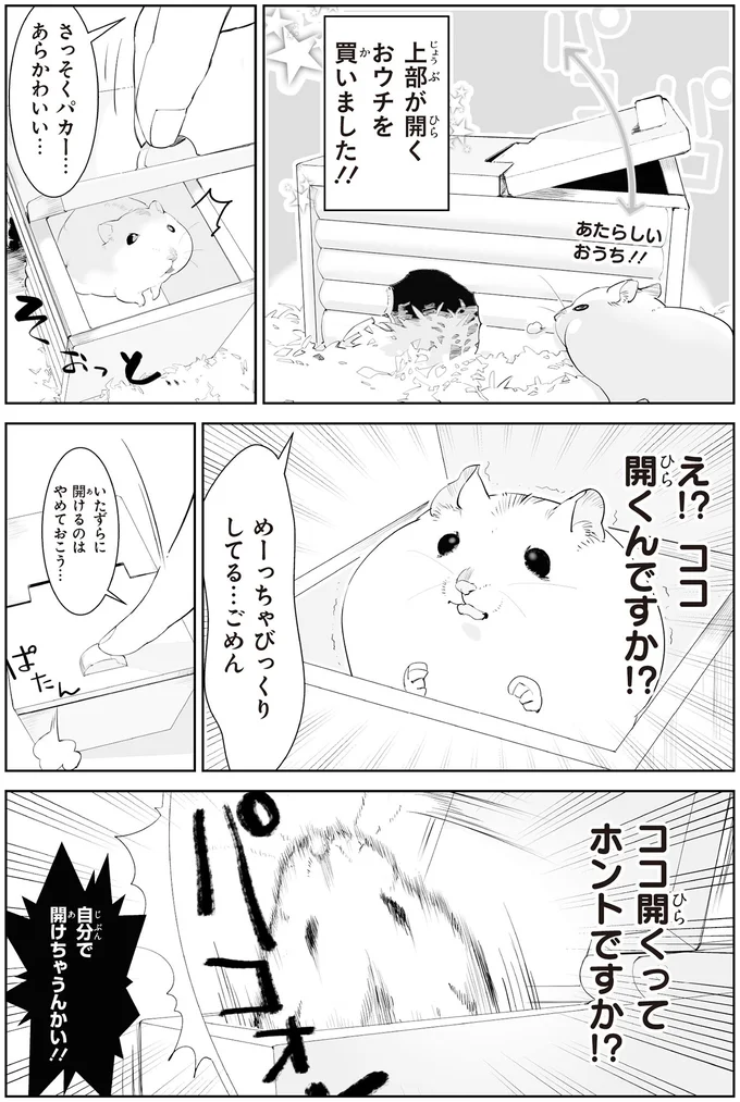 ココ開くってホントですか！？