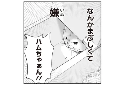 なんかまぶしくて嫌
