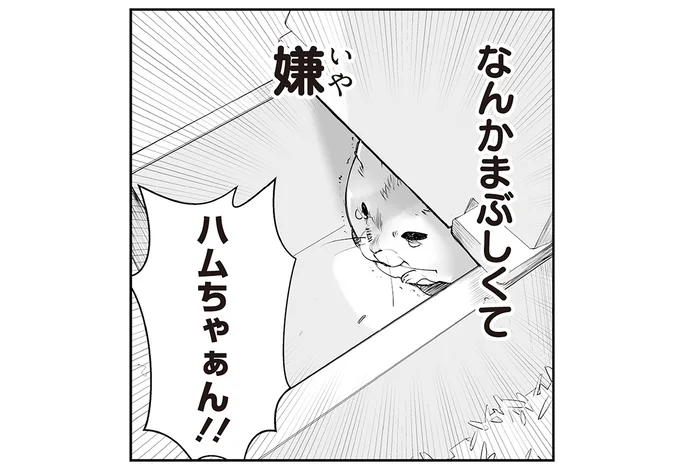 なんかまぶしくて嫌
