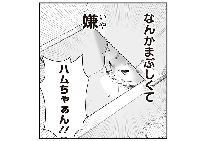 天井が開くおうちはまぶしくて嫌！ それなのに自ら開けてしまうハムちゃん