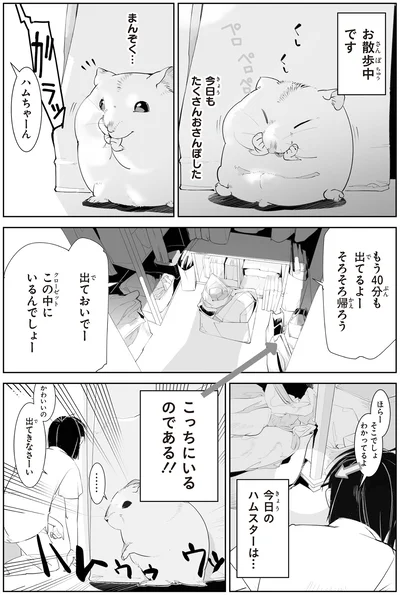 出ておいでー