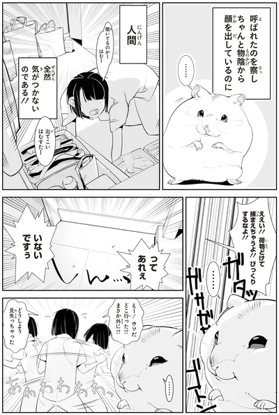 ちゃんと物陰から顔を出しているのに