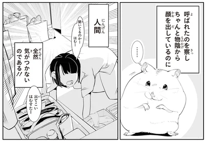 出てこいはむすたー