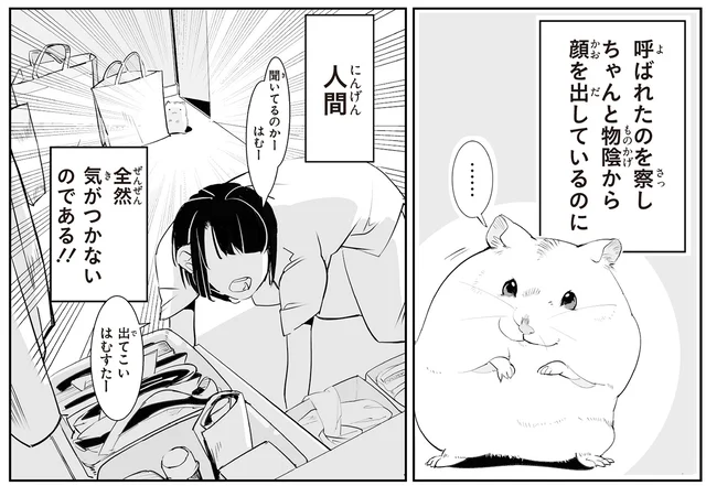 ずっと顔を出してるのに「出てこいはむすたー」気づかぬ飼い主の慌てぶり