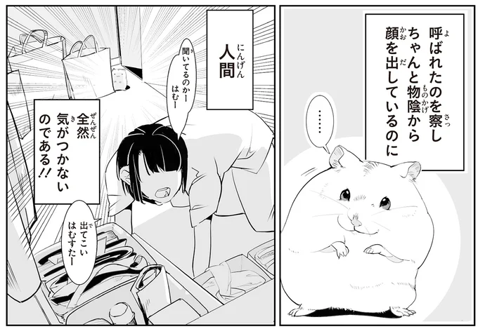 出てこいはむすたー