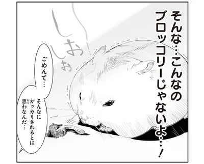 そんな…こんなのブロッコリーじゃないよ…！