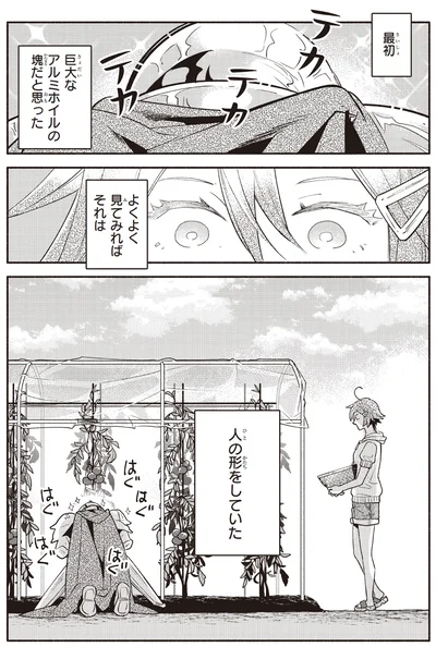 最初巨大なアルミホイルの塊だと思った