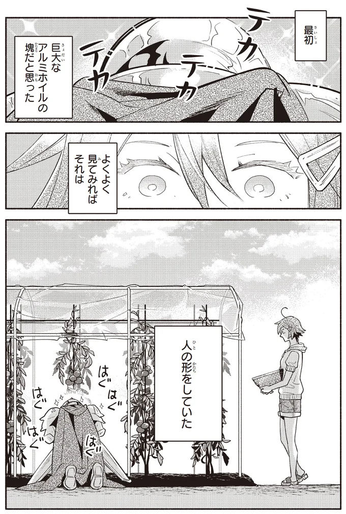 最初巨大なアルミホイルの塊だと思った