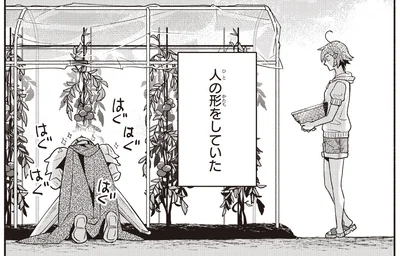 庭で野菜を泥棒していた怪しい男の正体は、勇者⁉