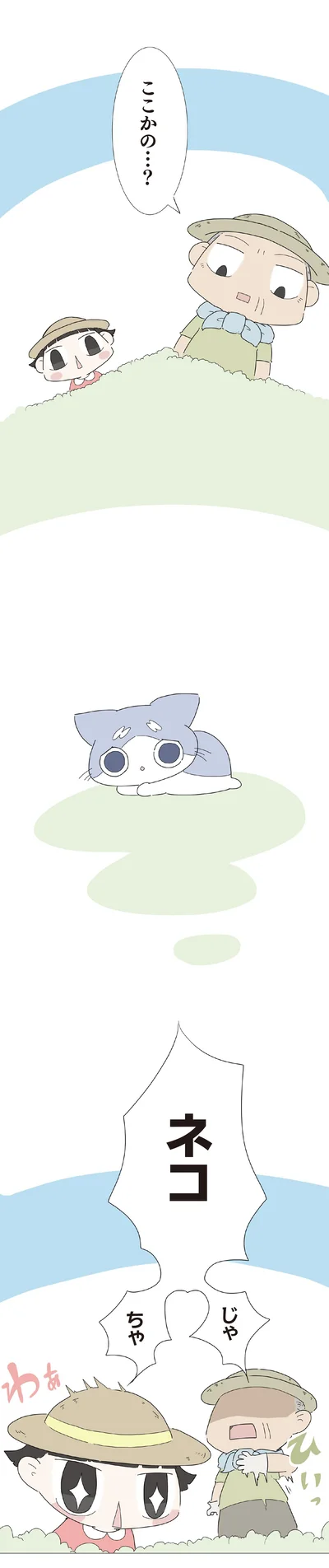 ここかの…？