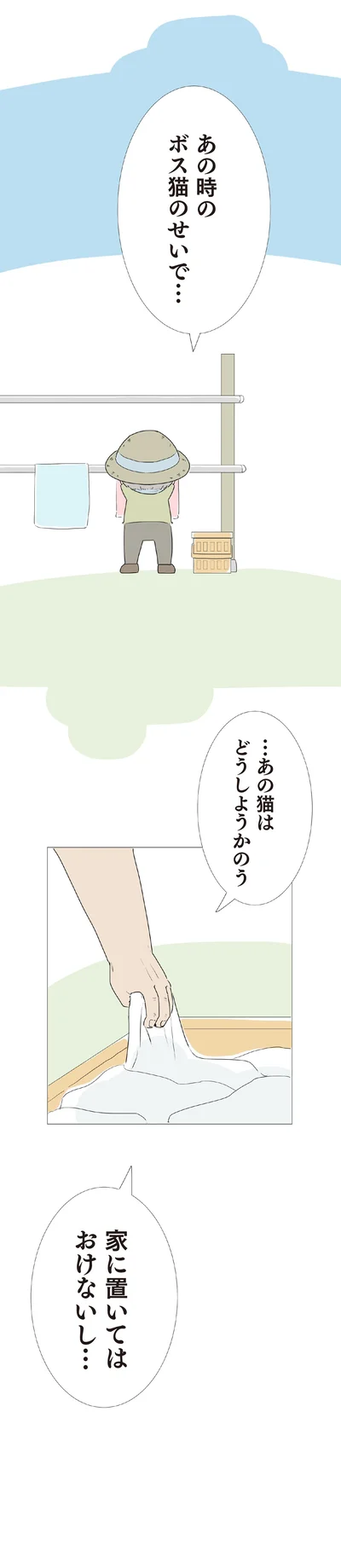 …あの猫はどうしようかのう