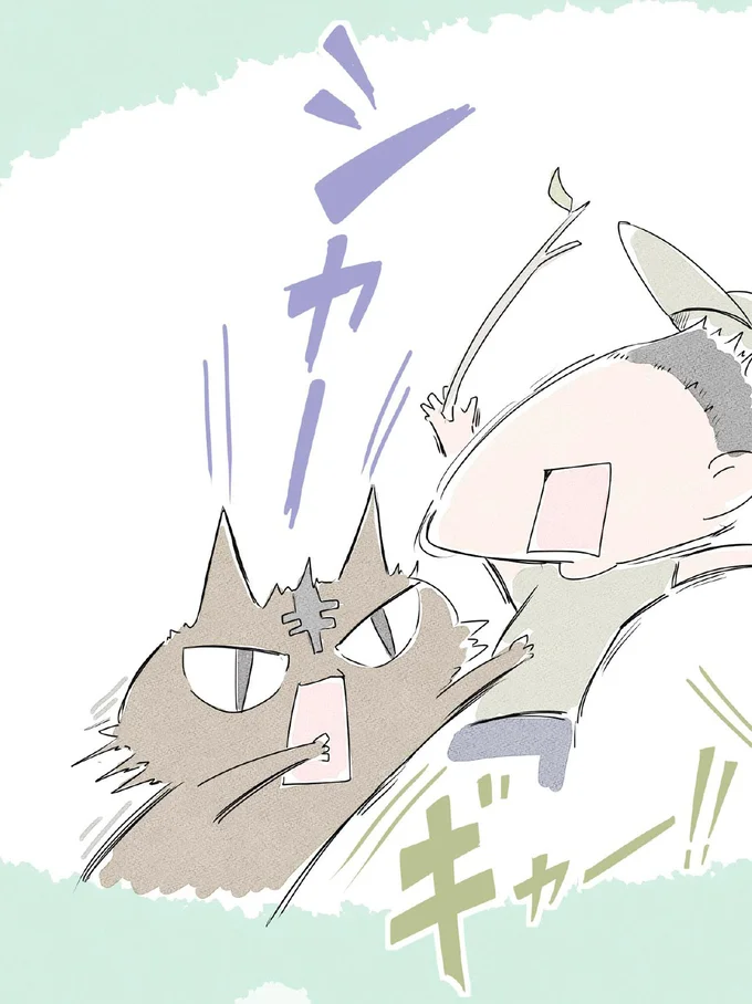 あの時のボス猫のせいで…