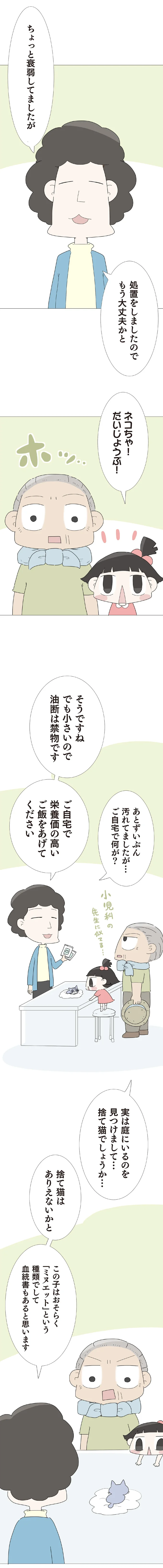 もう大丈夫かと