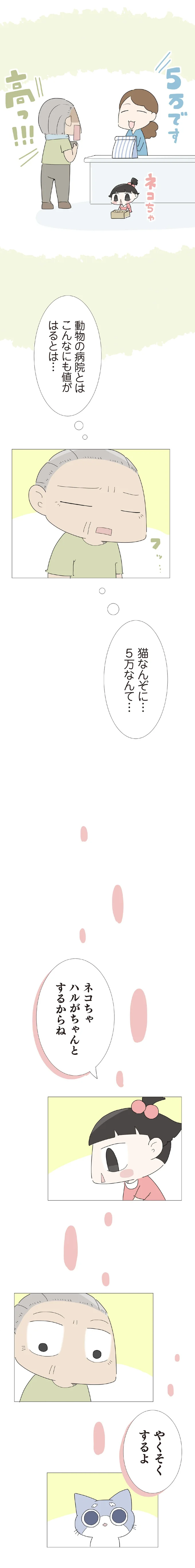 猫なんぞに…5万なんて…