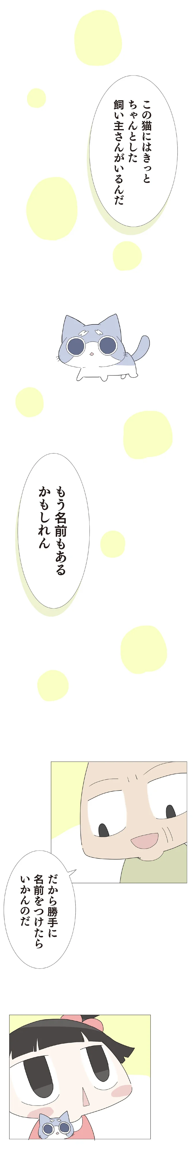 この猫にはきっとちゃんとした飼い主さんがいるんだ