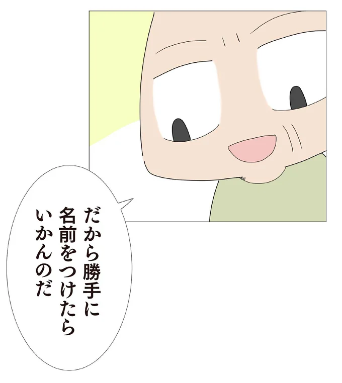 勝手に名前をつけたらいかんのだ