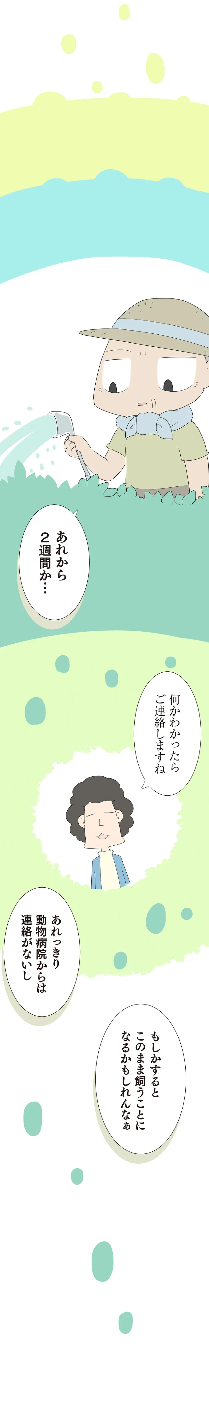 このまま飼うことになるかもしれんなあ
