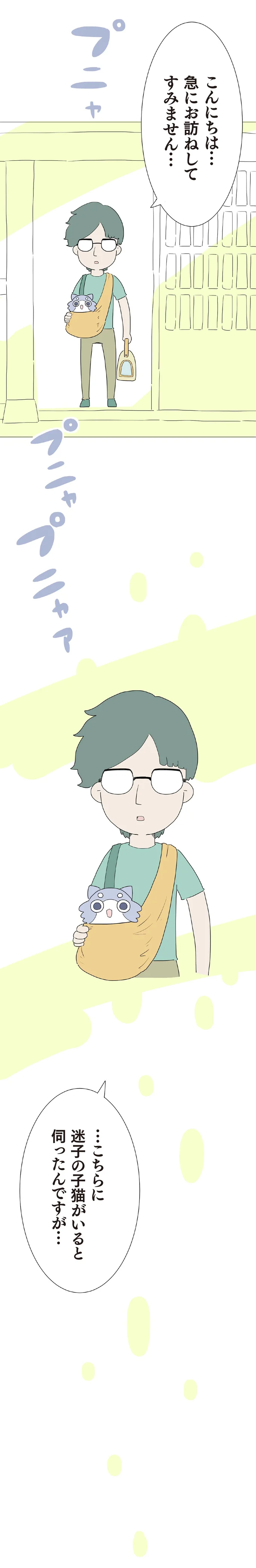迷子の子猫がいると伺ったんですが…