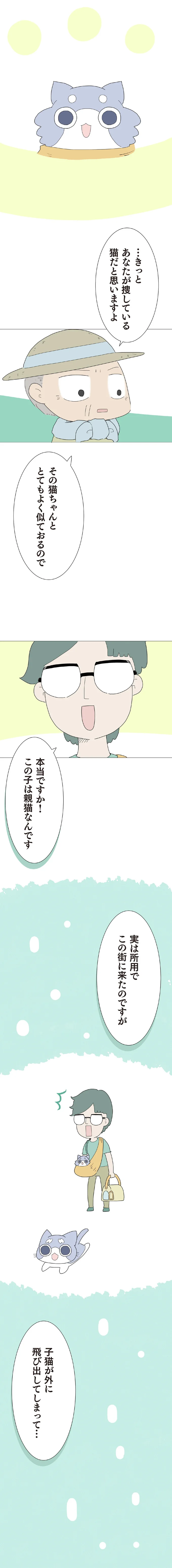この子は親猫なんです