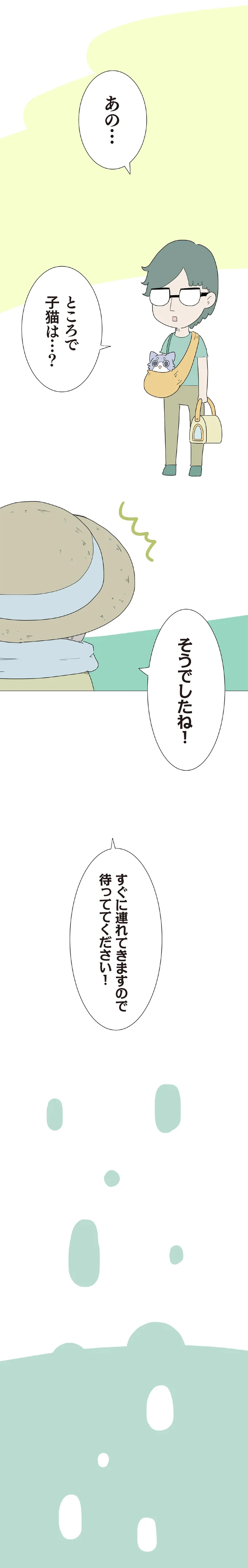 ところで子猫は…？