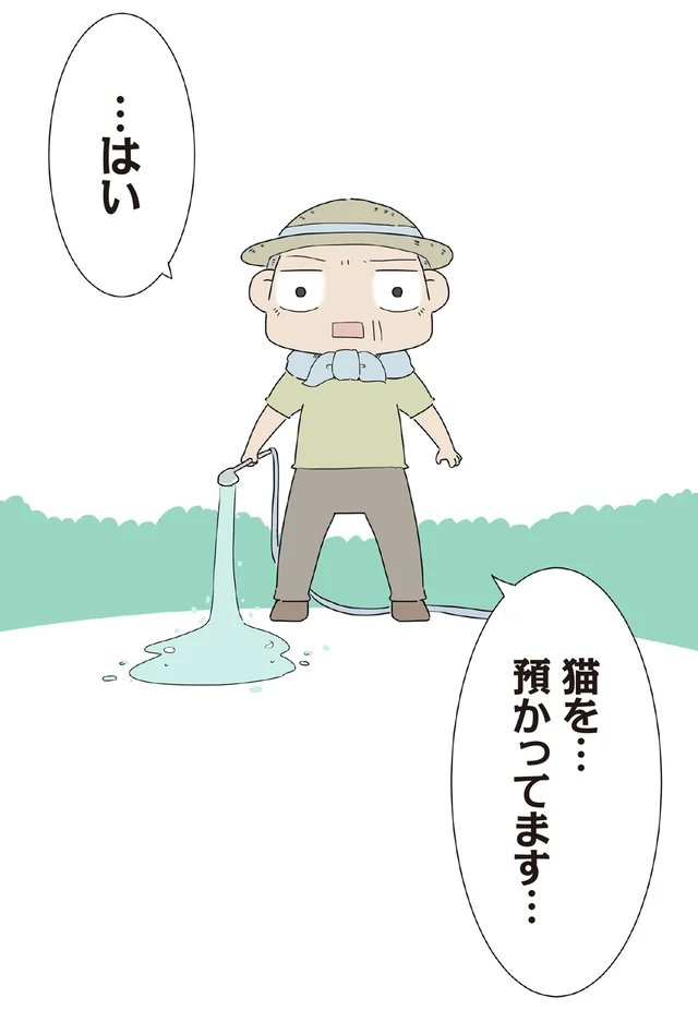 突然訪れた飼い主さんに動揺。子猫と過ごした数週間が蘇り、複雑な気持ちに／ハルとゲン（51）