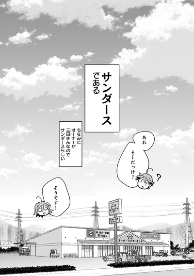 サンダースである