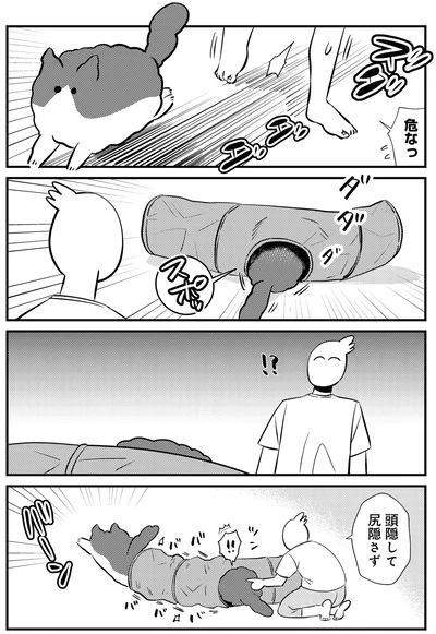 誘っているつもりらしい