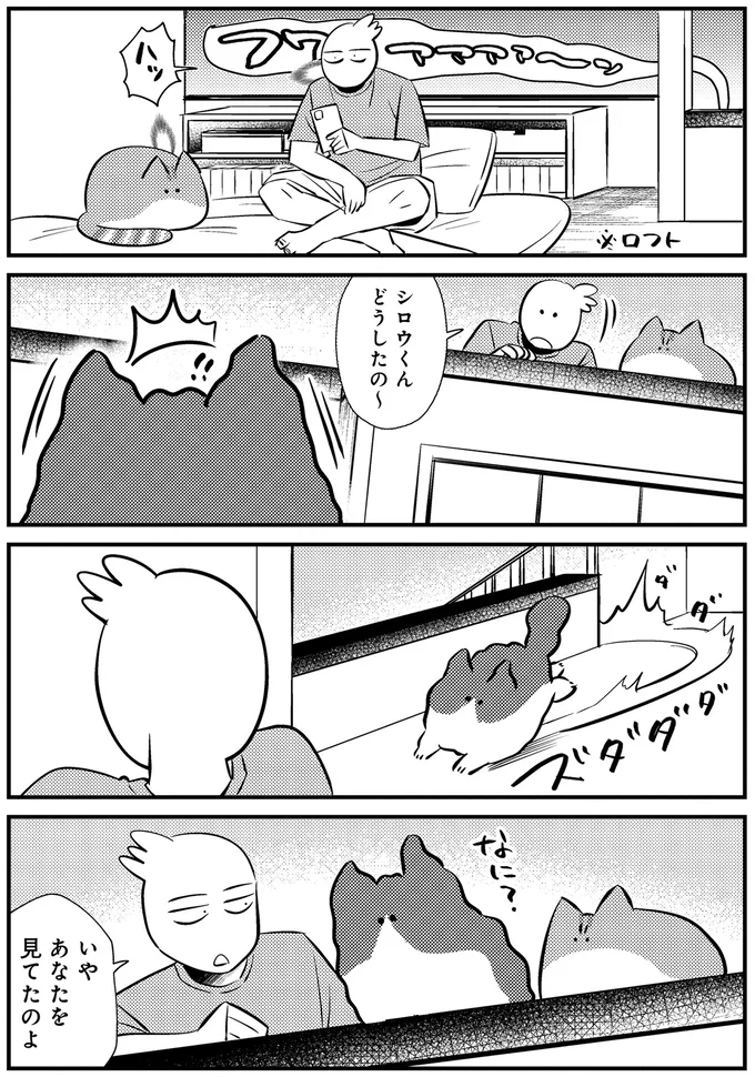 階下からの叫び