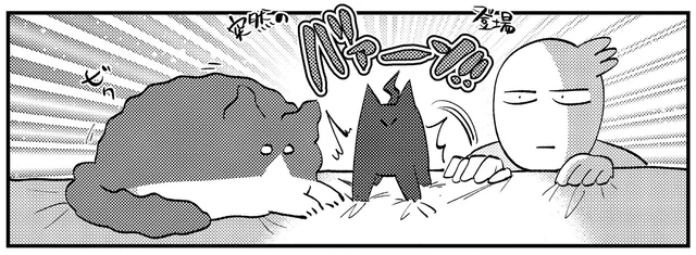 いきなりの登場！ 元気がなくなった先輩猫のもとに、後輩猫が現れて!?