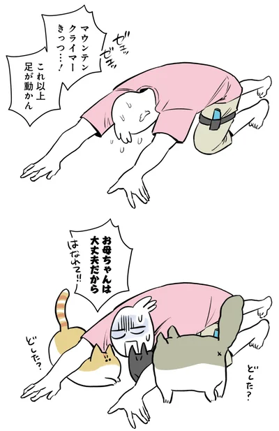 リン●フィット●ドベンチャー
