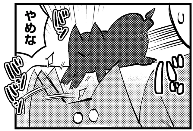 お兄ちゃんの体で遊んじゃダメ！ 子猫のイタズラが大変すぎる